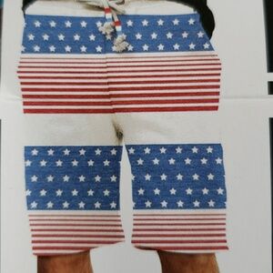 Mens lounge USA FLAG shorts